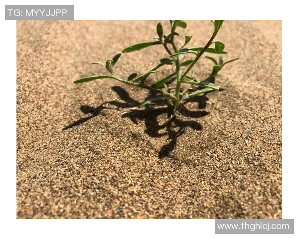 深度探讨赵静在DOTA2世界中的成长与挑战之旅